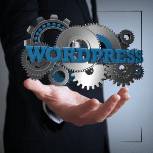 Professional WordPress Plugin